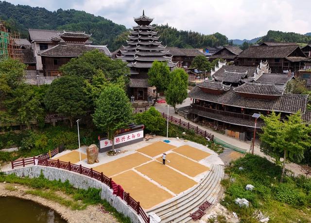 晒秋、秋收、侗寨、丰收、稻谷