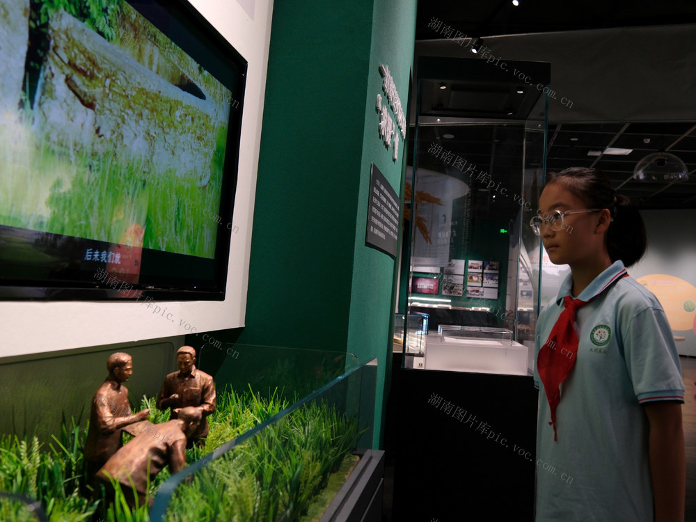 参观隆平水稻博物馆