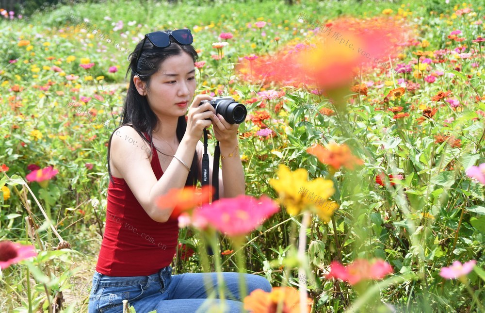 农文旅融合助乡村振兴