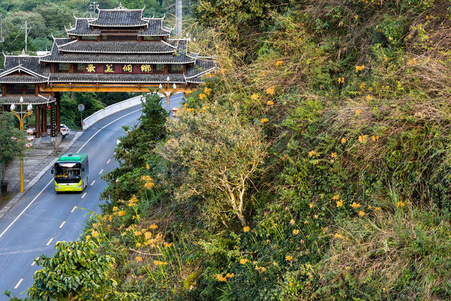 彼岸花 花 寨门 悬崖 秋