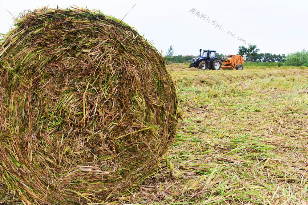 稻草离田  农机服务  跨省作业  灭茬  搂草  打捆