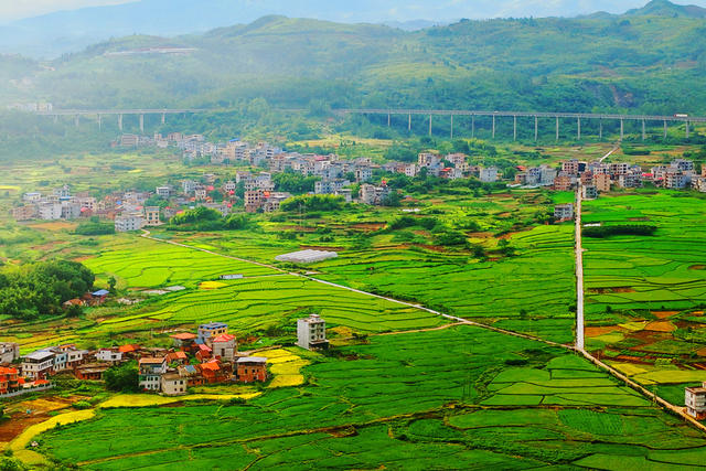 嘉禾：乡村田园“丰”景美