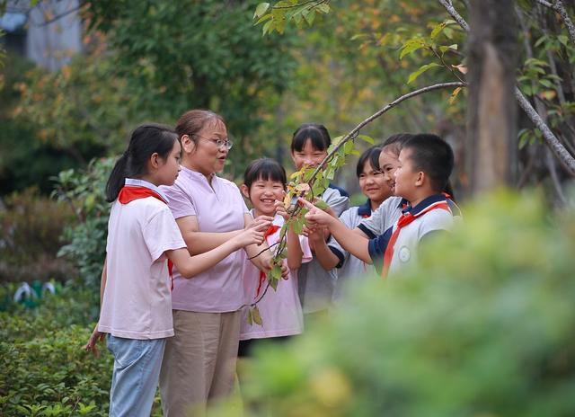 教师、教育、教学、老师、课堂