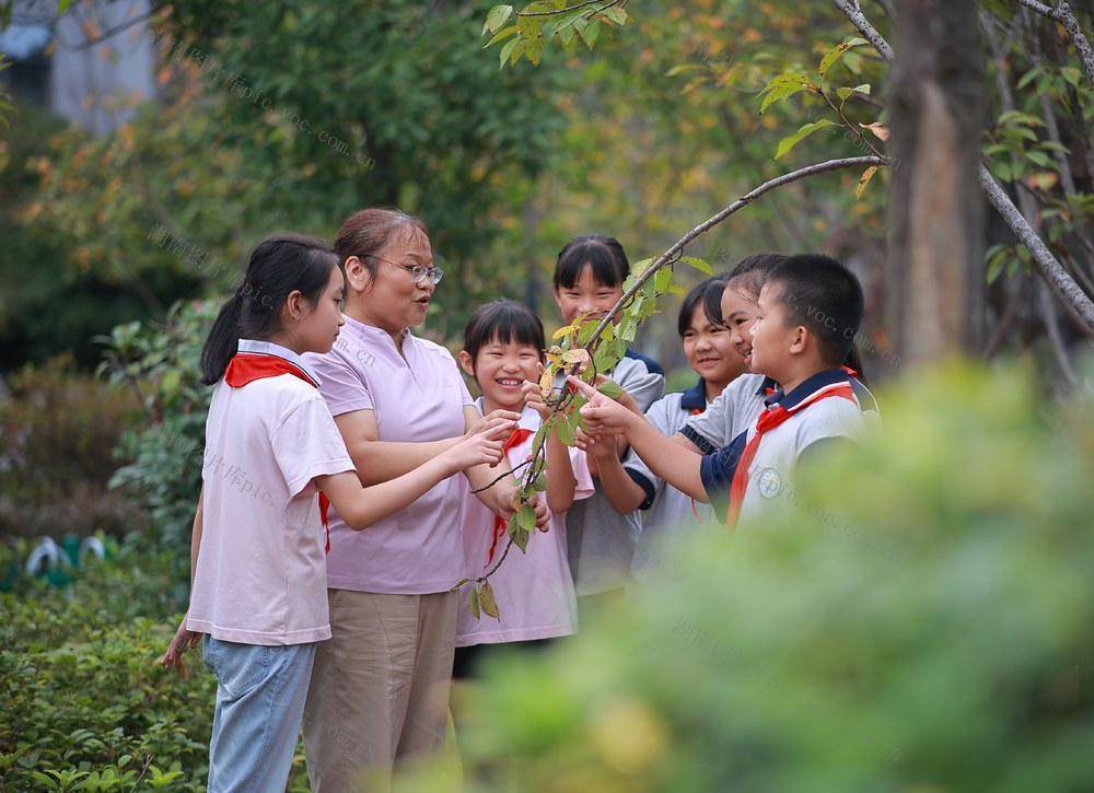 教师、教育、教学、老师、课堂