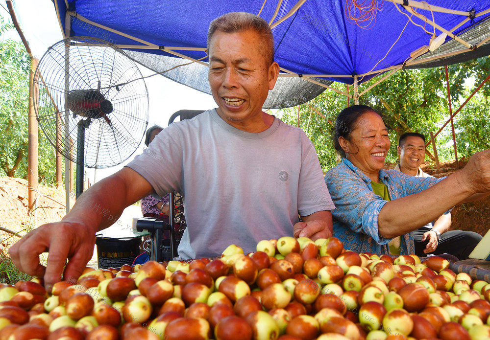 嘉禾：特色产业助增收