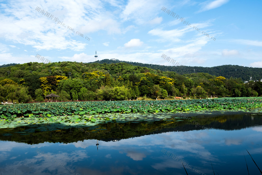 天马山桃子湖，秋景如画