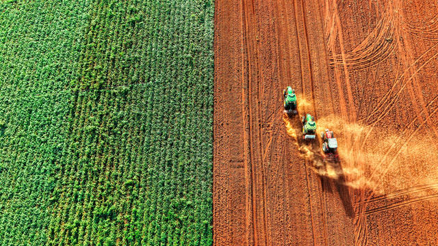 油菜播种 农业机械 土地轮作 助农增收 乡村振兴