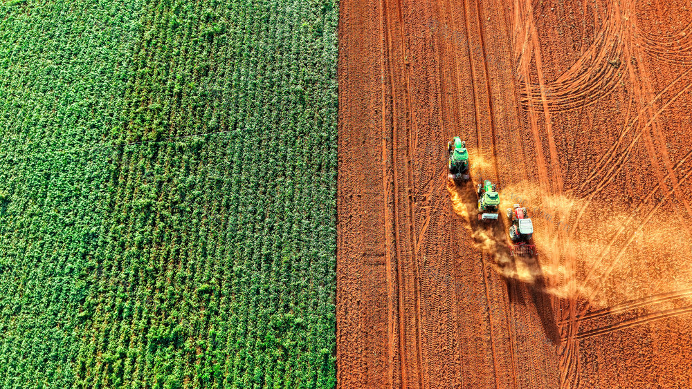 油菜播种 农业机械 土地轮作 助农增收 乡村振兴