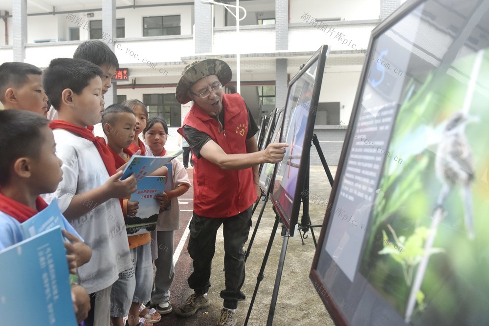 候鸟  保护  护鸟  爱鸟  科普  学生  校园  蓝山  湖南  