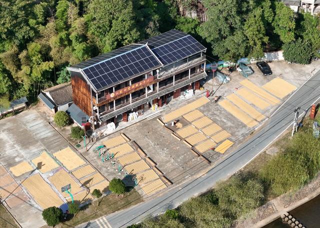 秋收、晒秋、晒谷子、水稻、乡村