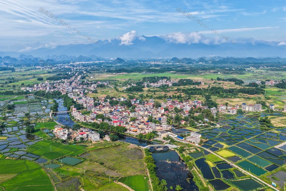 湖南道县：特色产业促振兴