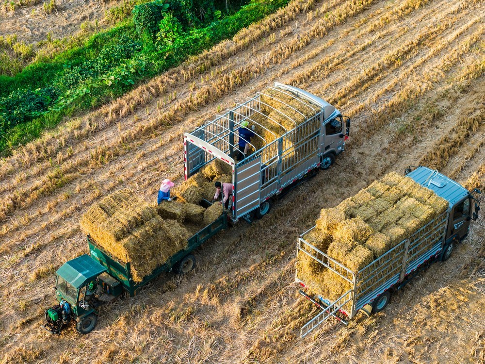 秸秆  环保  养殖  畜牧  饲料  农机
