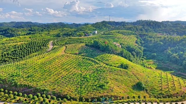 湖南  常宁  大堡  绿树成荫