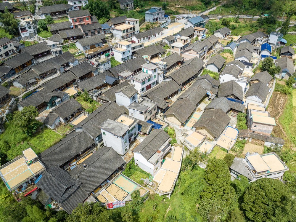 苗寨 双龙村 晒秋 