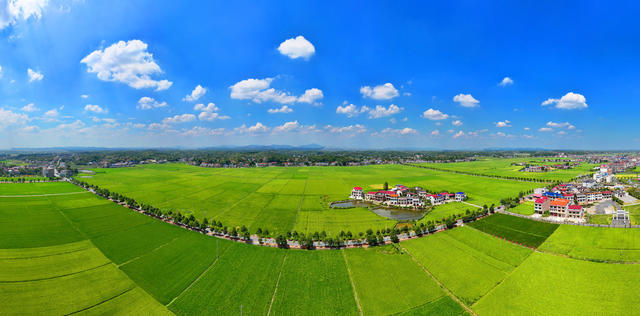 田园 风光 蓝天白云 美景