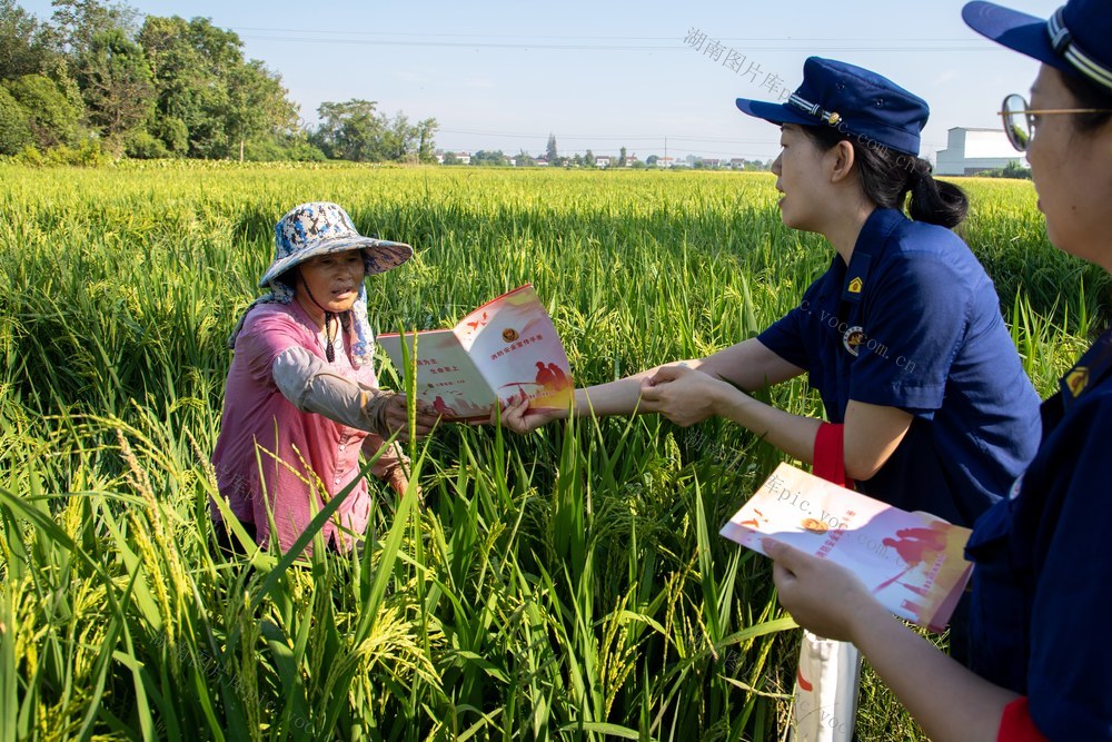 消防 秋收 农忙 稻谷