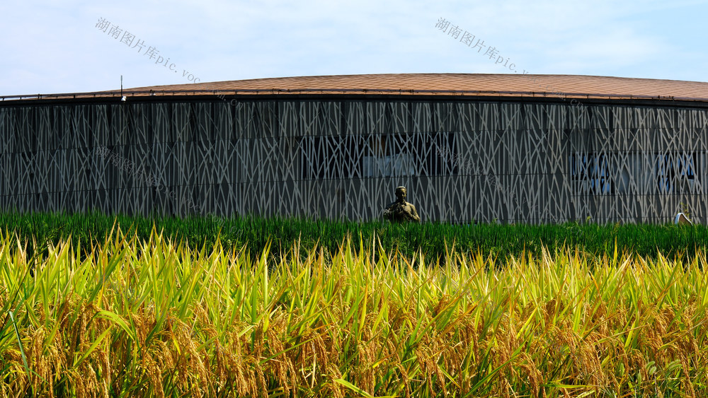 隆平水稻文化园