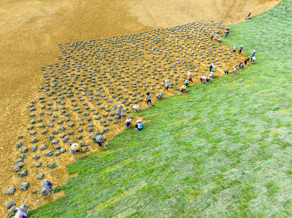 闲置土地 城市草地 口袋公园