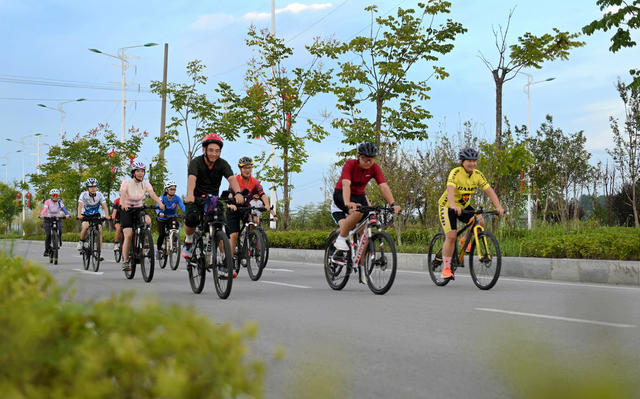 骑行 自行车 出行 日常生活 市场 消费 低碳 环保 群众 商业 健身