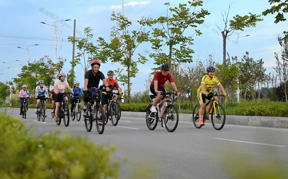 骑行 自行车 出行 日常生活 市场 消费 低碳 环保 群众 商业 健身