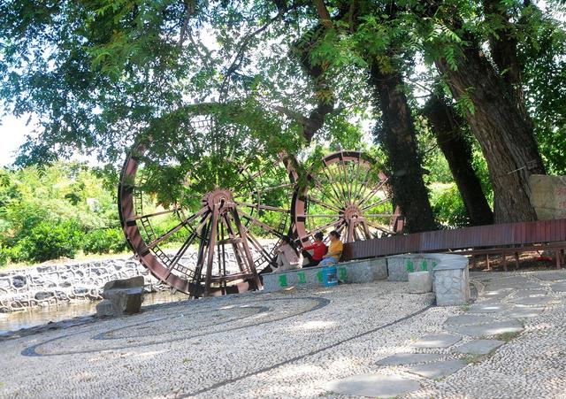 古树  小憩 游客