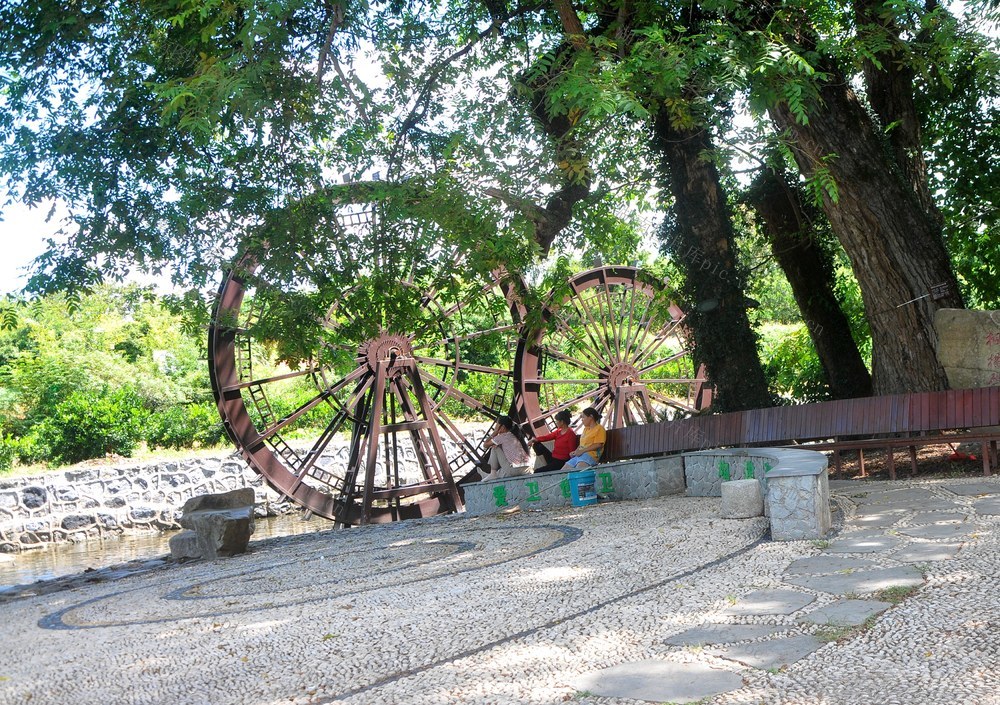 古树  小憩 游客