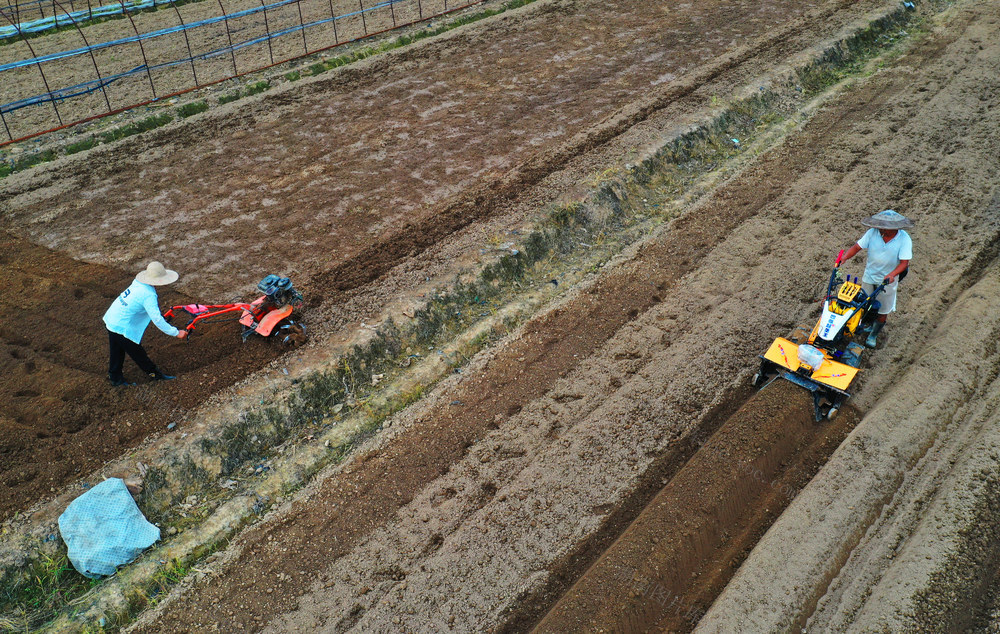 嘉禾：翻耕秋种忙