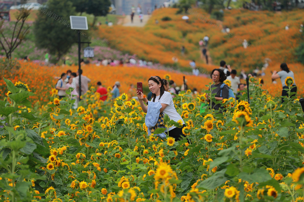 小公园 小绿地 湖天小游园