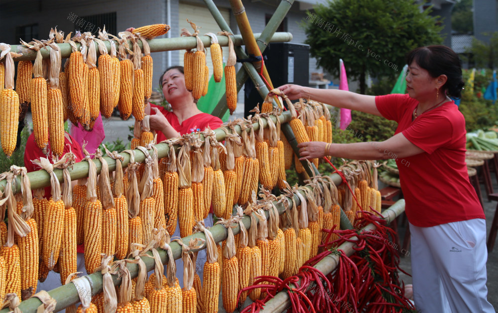 湖南桂东 村民 晒秋 庆丰年
