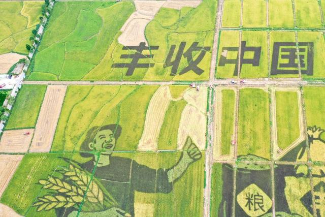 丰收节 农民丰收节 