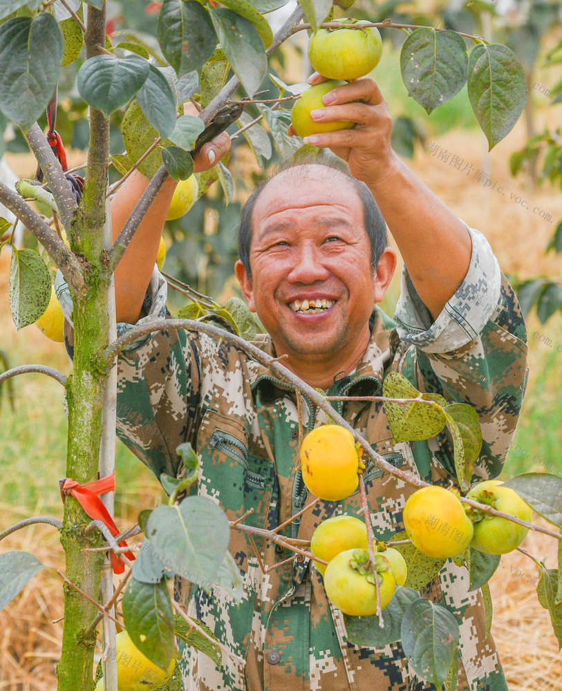 湖南道县：秋分至 收获忙