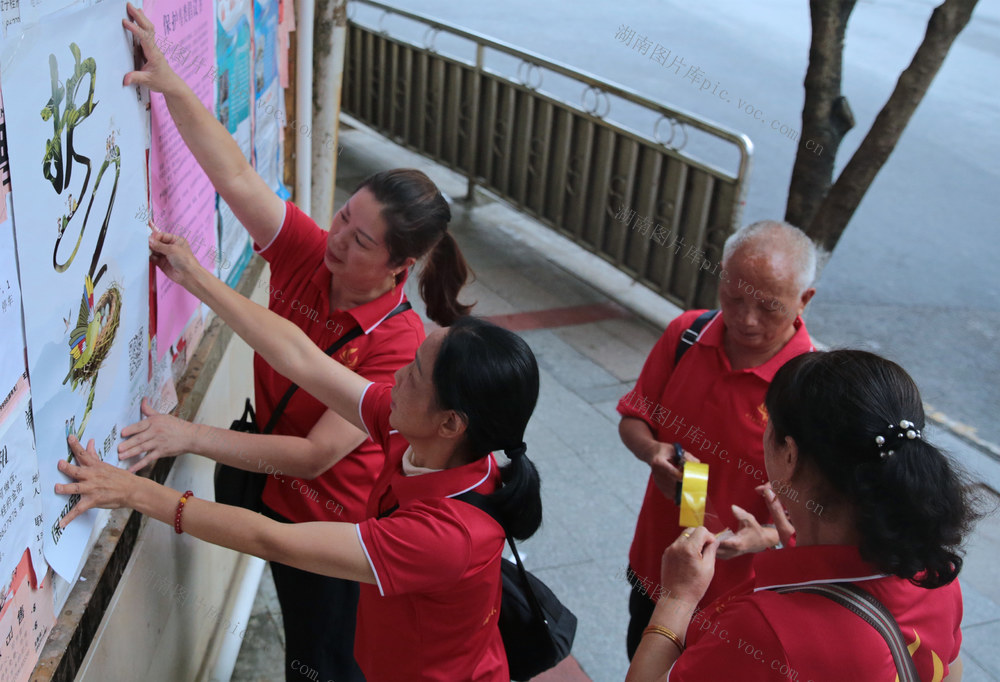 湖南桂东 “护鸟飞”呵护 迁徙候鸟 倡议书