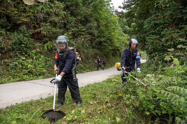 小横垅林场 清理防火道  