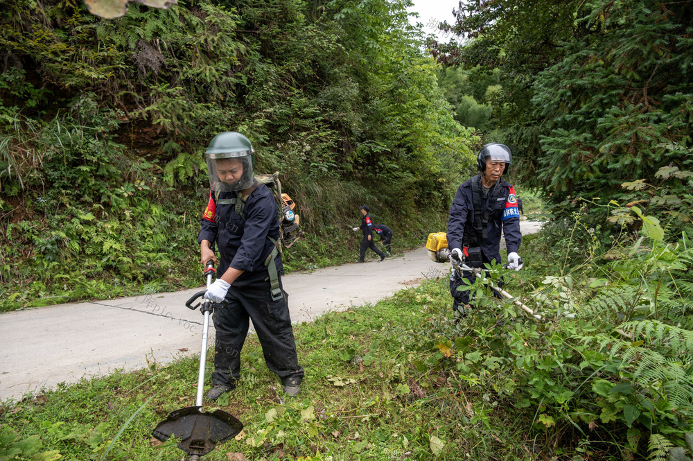 小横垅林场 清理防火道  