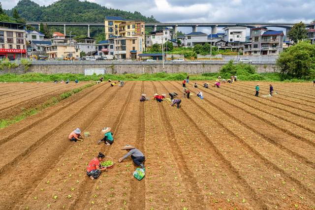秋播秋种   农田增效   农民增收