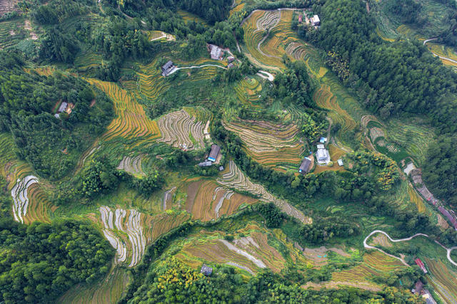 湖南桂东 “高山冷水米” 乡村 民 三奇石