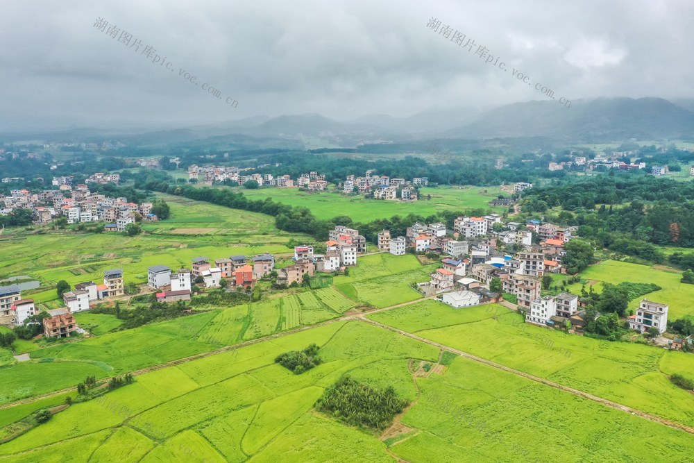 田园 稻田 乡村 秋天 风景 生态