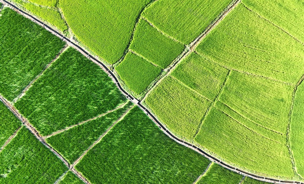 色彩斑斓秋色美