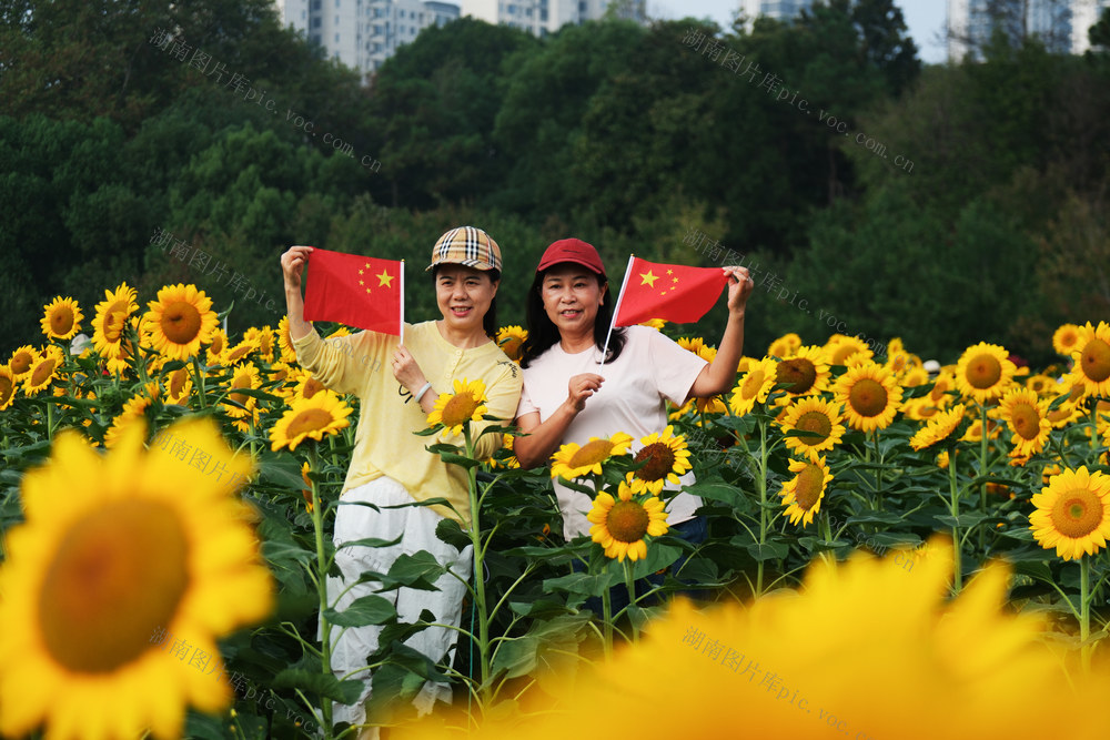 祝福祖国 喜迎国庆