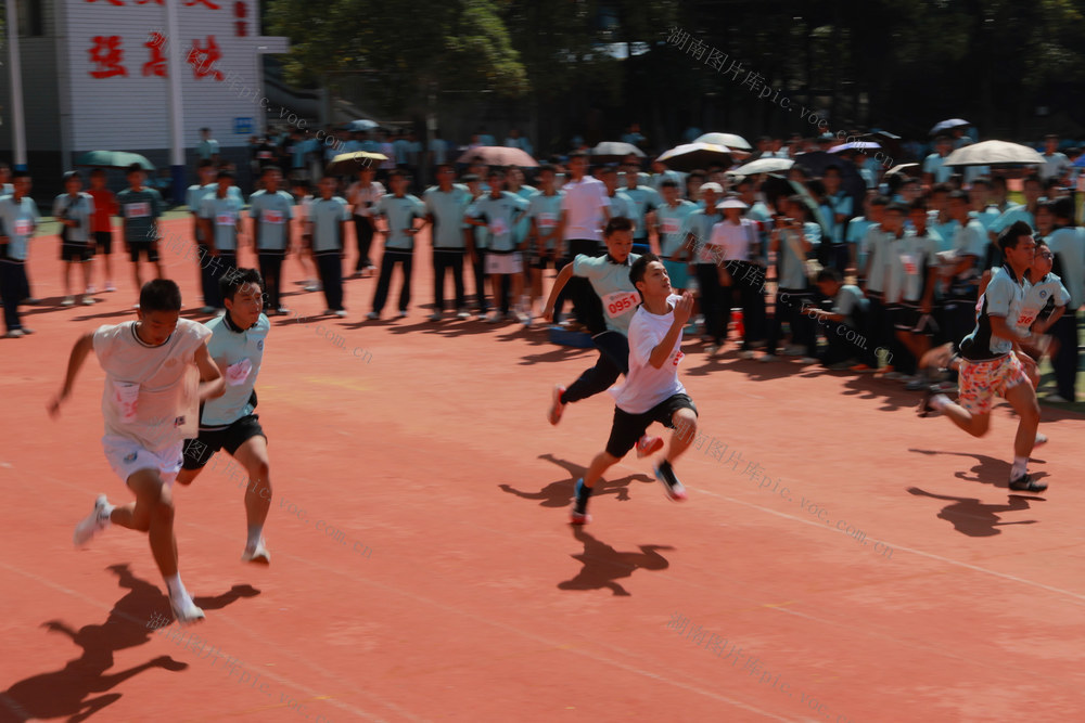 校运会 体育 竞技