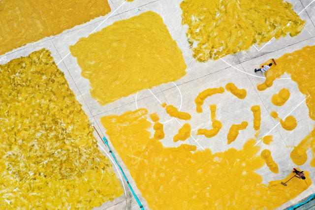 湖南 新田 晒秋