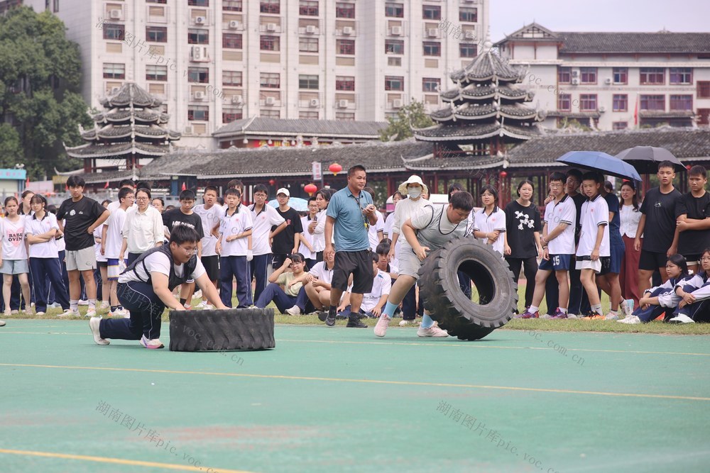 体育、运动、学校、锻炼、学生