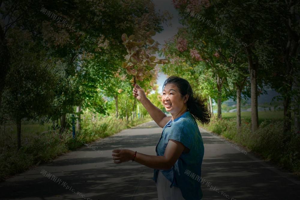 秋逢孪树美如画