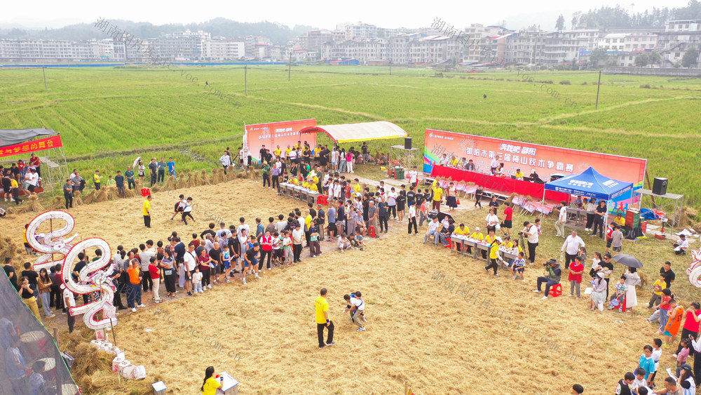 梅山跤术 非遗 比赛 摔跤 稻田 稻田文化 文化 地域特色 梅山文化