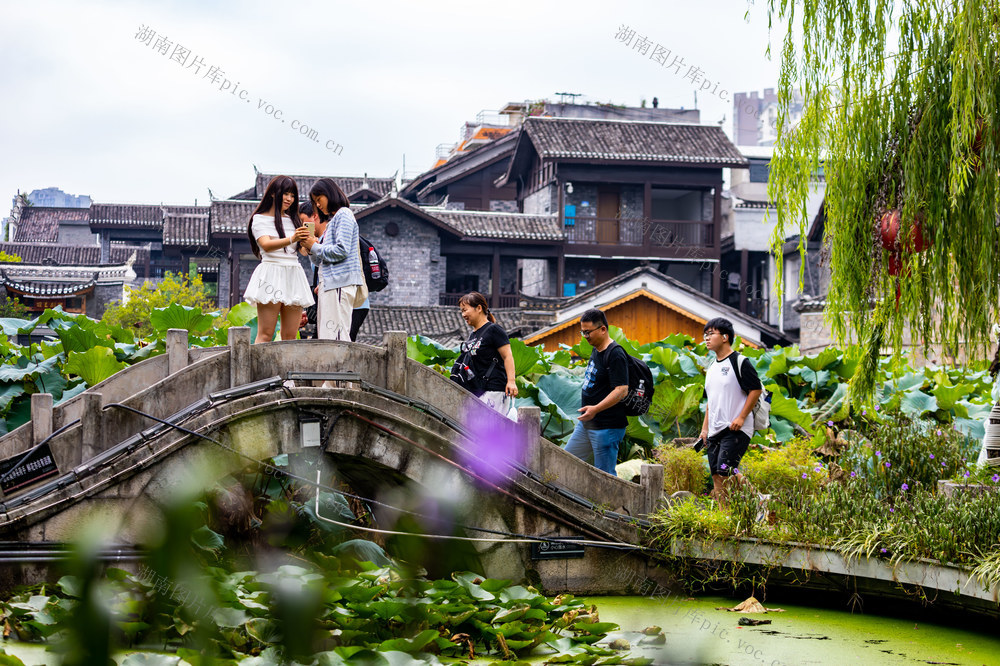 旅游  国庆  古城  湘西