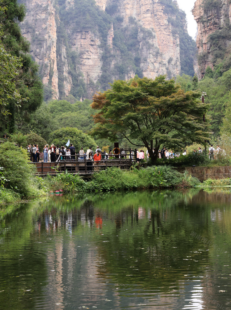 张家界 假期 国庆