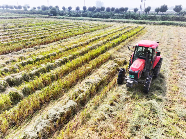 中秋节  农事活动  秸秆处理  稻草离田  高茬割除 