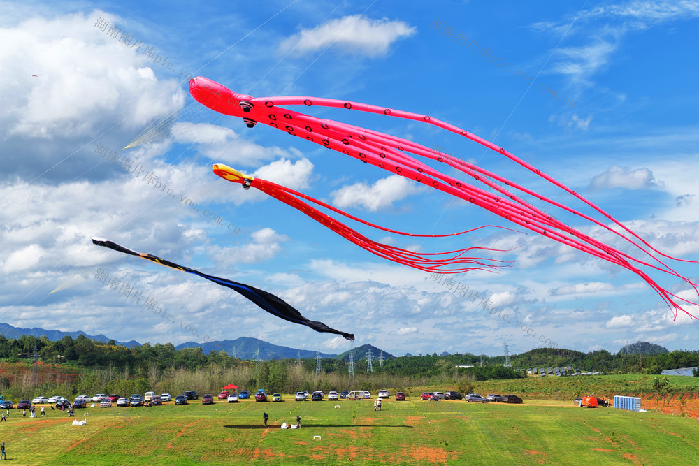 蓝山：精彩纷呈风筝节