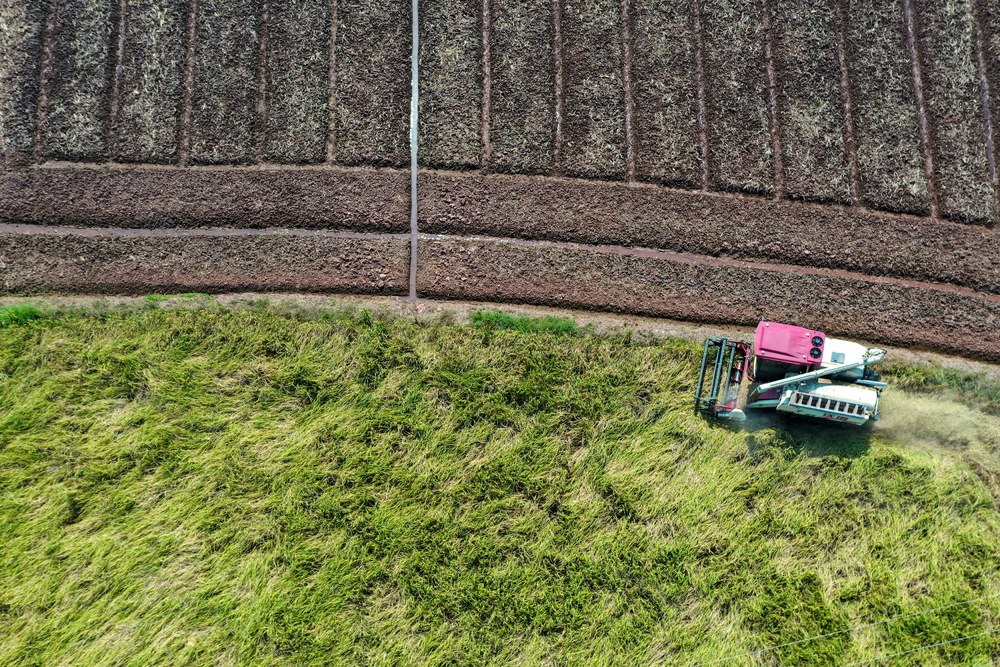 寒露 24时节 农事忙