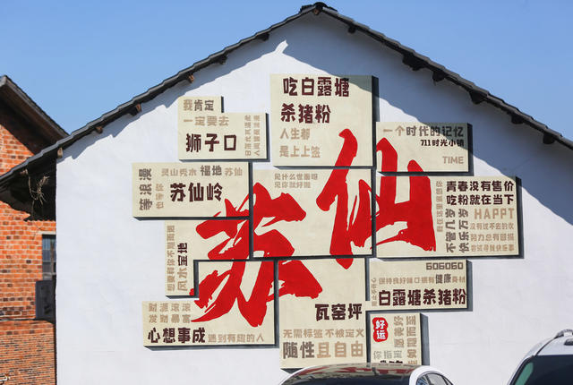 游客   湖南   郴州  城东新区   城市花海    粉黛  格桑花  向日葵  花田  市民  游客  网红打卡地   